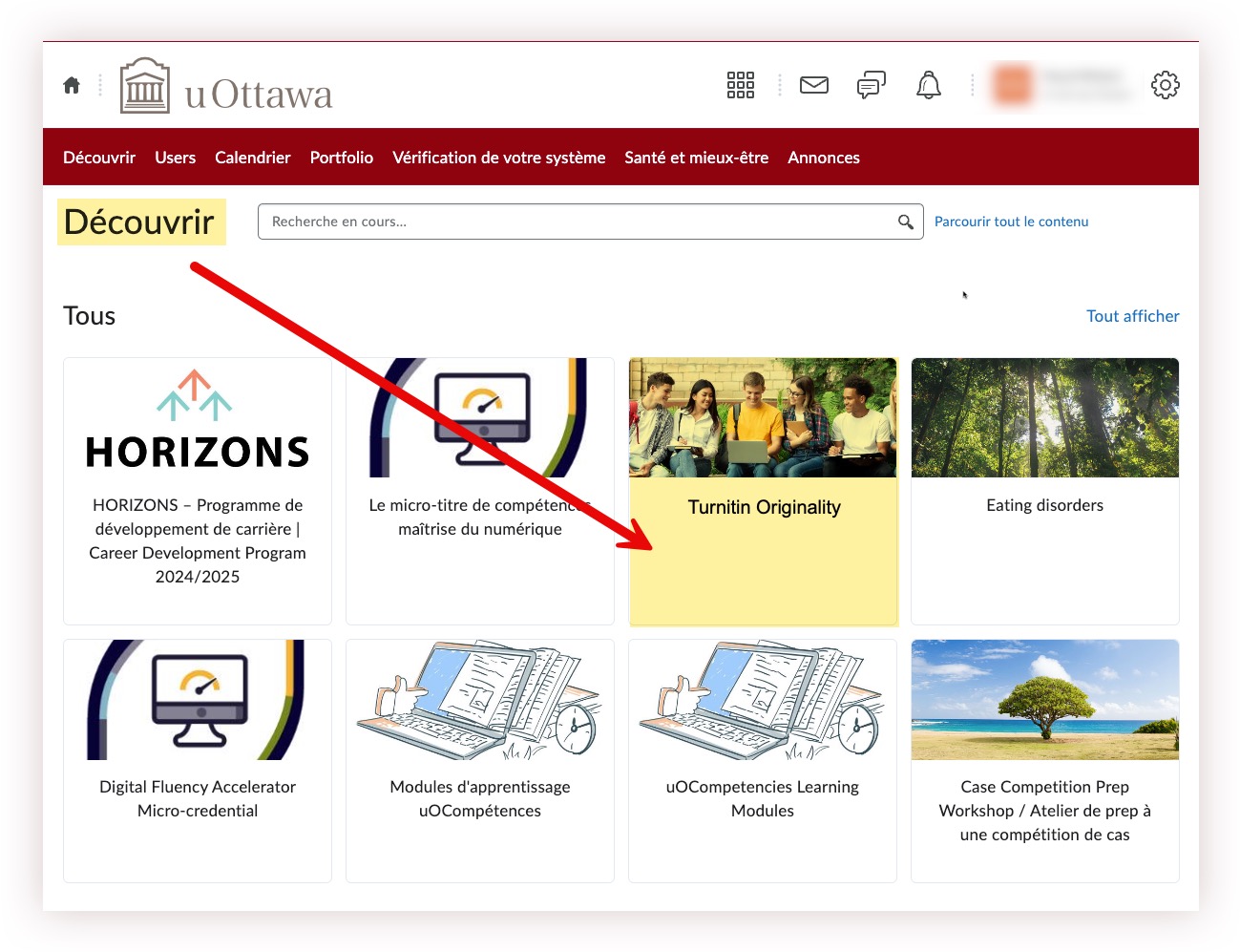 Capture d'écran de la page d'accueil de Brightspace