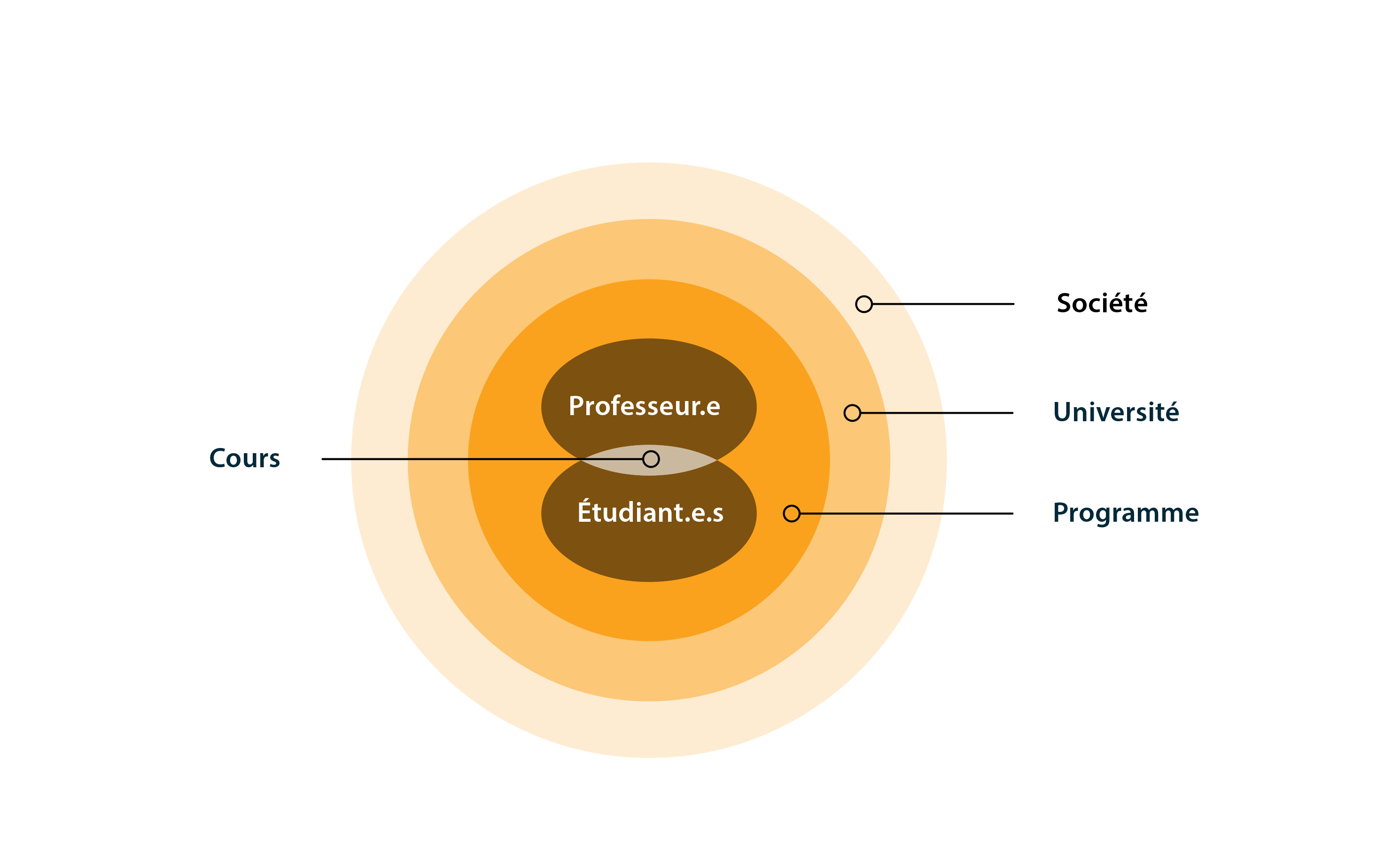 Représentation de l’environnement d’apprentissage où le cours est à la jonction professeur.e et étudiant.e.s, et entre les étudiant.e.s. Cet environnement est influencé par le programme, l’université et la société.
